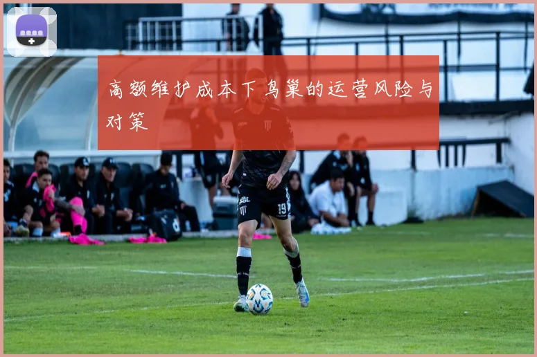 高额维护成本下鸟巢的运营风险与对策