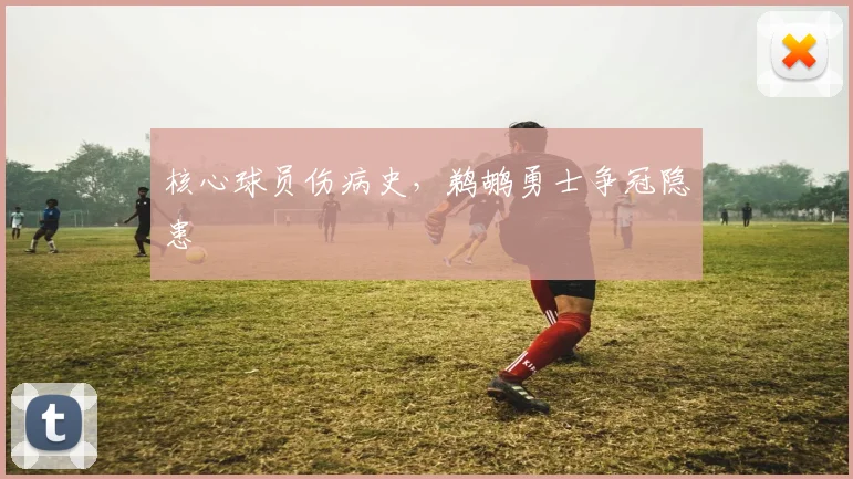 核心球员伤病史，鹈鹕勇士争冠隐患