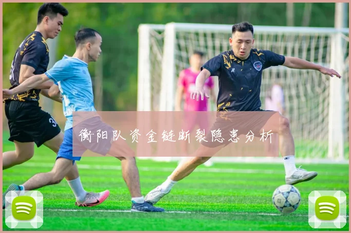 衡阳队资金链断裂隐患分析